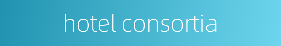 hotel consortia的同义词
