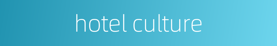 hotel culture的同义词