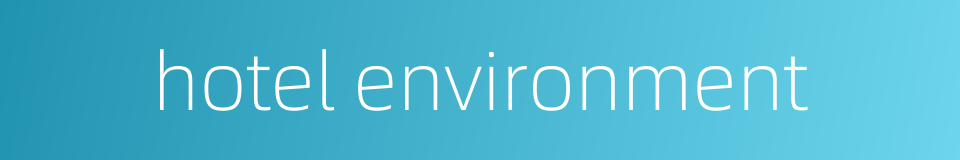 hotel environment的同义词