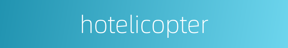 hotelicopter的同义词