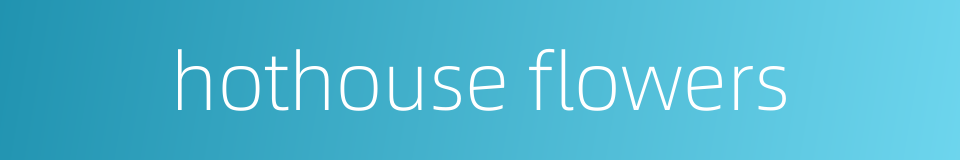 hothouse flowers的同义词