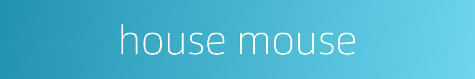 house mouse的同义词