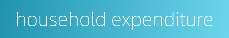 household expenditure的同义词