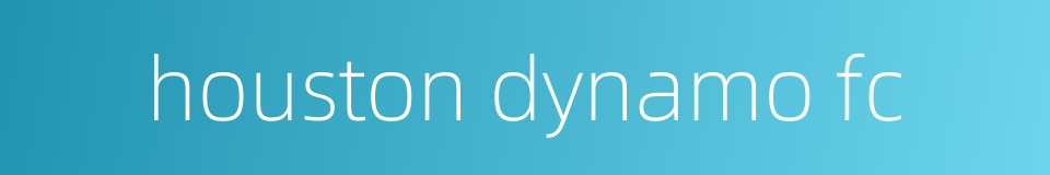 houston dynamo fc的同义词