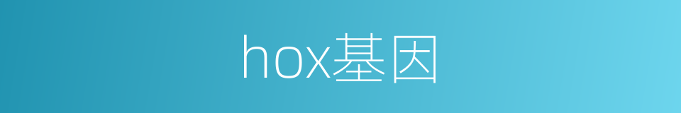 hox基因的同义词