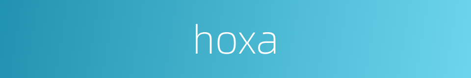 hoxa的同义词