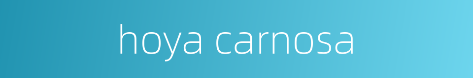 hoya carnosa的同义词