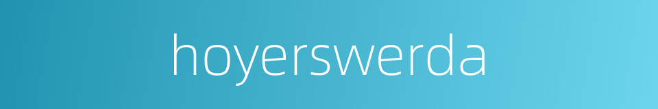 hoyerswerda的同义词