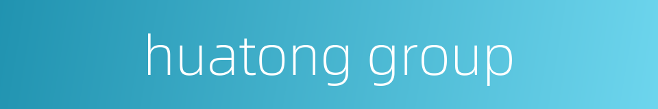 huatong group的同义词