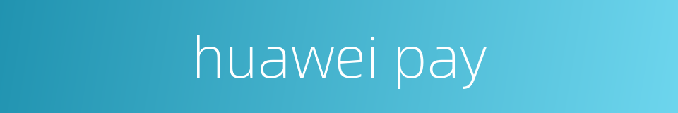 huawei pay的同义词