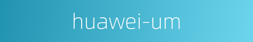 huawei-um的同义词