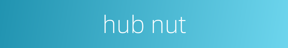 hub nut的同义词