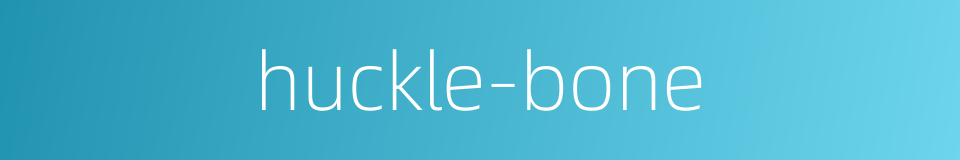 huckle-bone的同义词