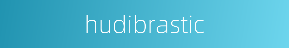 hudibrastic的同义词