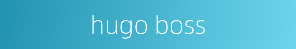 hugo boss的同义词