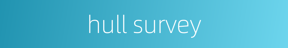 hull survey的同义词