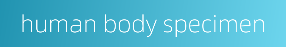 human body specimen的同义词