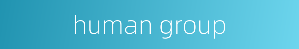 human group的同义词