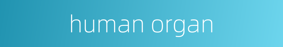human organ的同义词