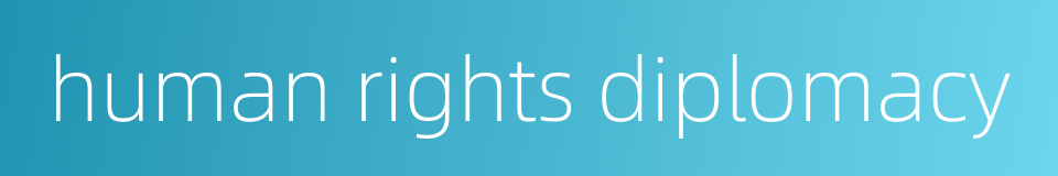 human rights diplomacy的同义词