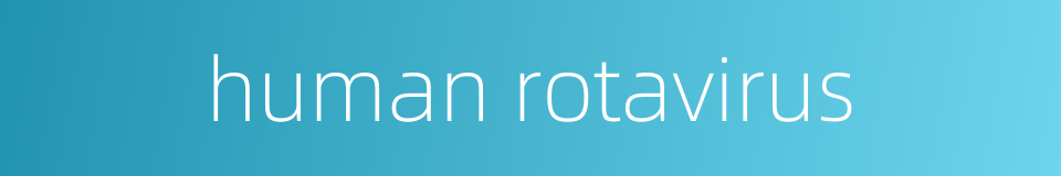 human rotavirus的同义词