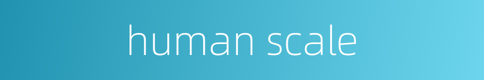 human scale的同义词