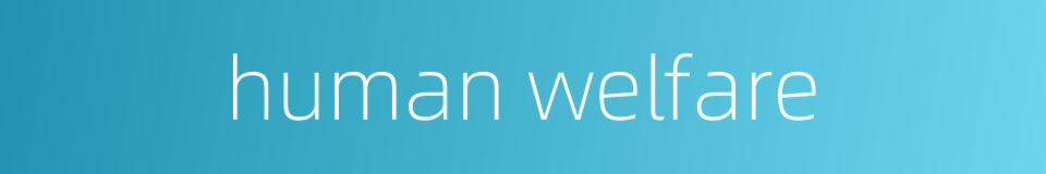 human welfare的同义词