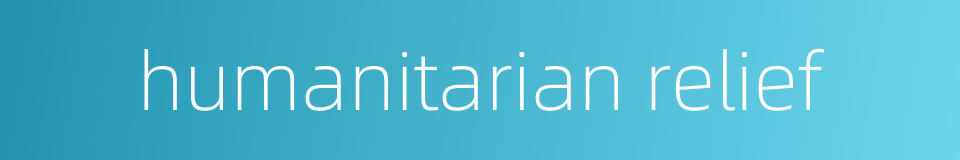 humanitarian relief的同义词