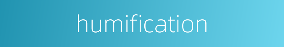 humification的同义词