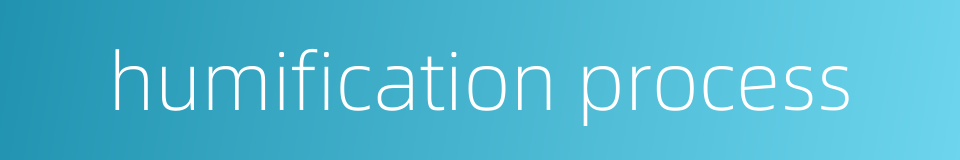 humification process的同义词