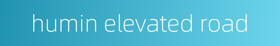 humin elevated road的同义词