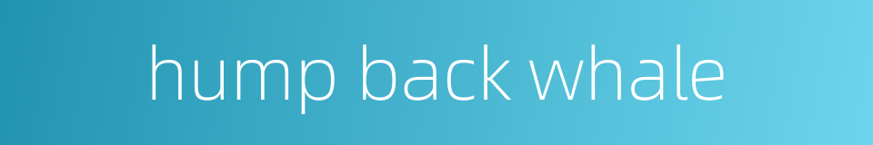 hump back whale的同义词