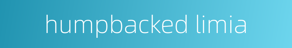humpbacked limia的同义词