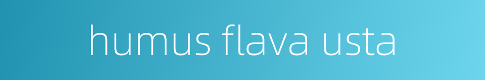 humus flava usta的同义词