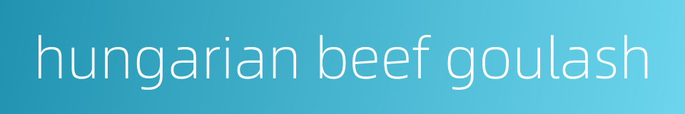 hungarian beef goulash的同义词