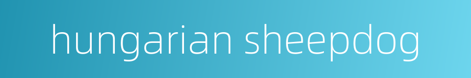 hungarian sheepdog的同义词