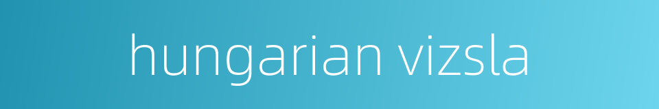 hungarian vizsla的同义词