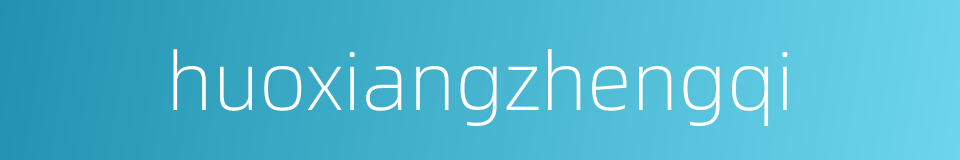 huoxiangzhengqi的同义词