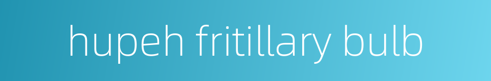 hupeh fritillary bulb的同义词