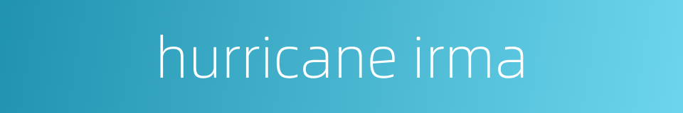 hurricane irma的同义词