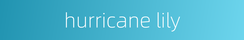 hurricane lily的同义词