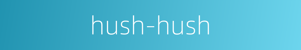 hush-hush的同义词