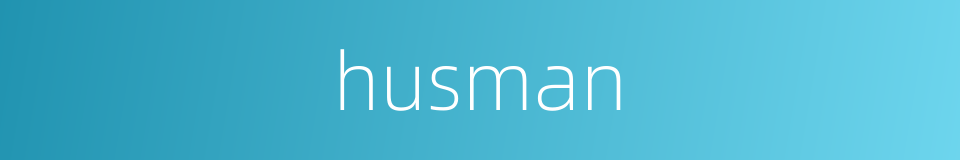 husman的同义词
