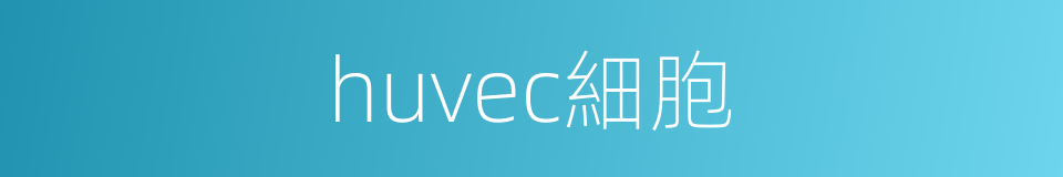 huvec細胞的同義詞