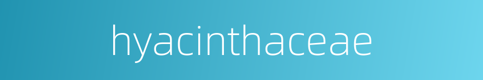 hyacinthaceae的同义词