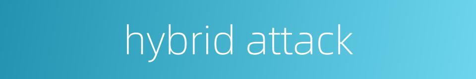 hybrid attack的同义词