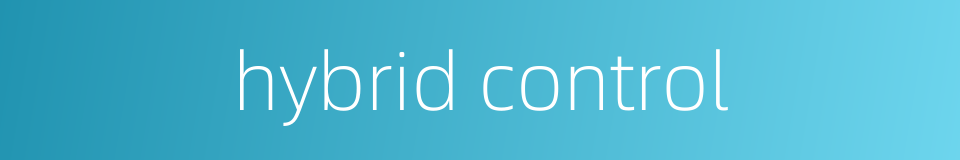 hybrid control的同义词
