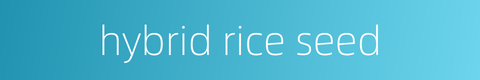 hybrid rice seed的同义词