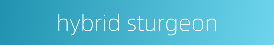 hybrid sturgeon的同义词