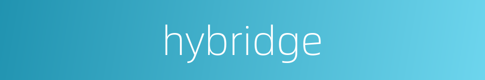 hybridge的同义词